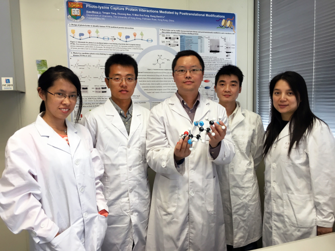 香港大學化學系李祥博士的研究團隊和夥伴（左起）：研究生鮑秀叢、研究生李小萌、李祥博士、研究生楊唐婆及馮依文博士。